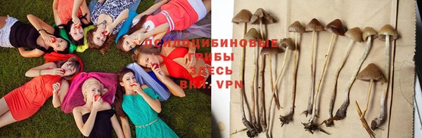 таблы Белоозёрский