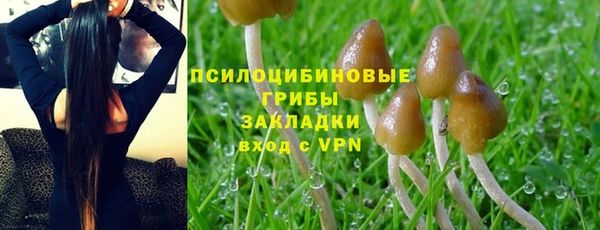 амф Белокуриха