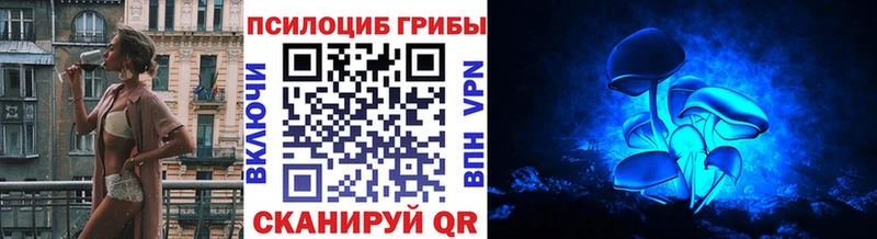купить   Великий Новгород  Галлюциногенные грибы Cubensis 