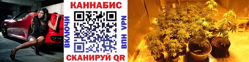 хочу наркоту  Великий Новгород  Каннабис планчик 